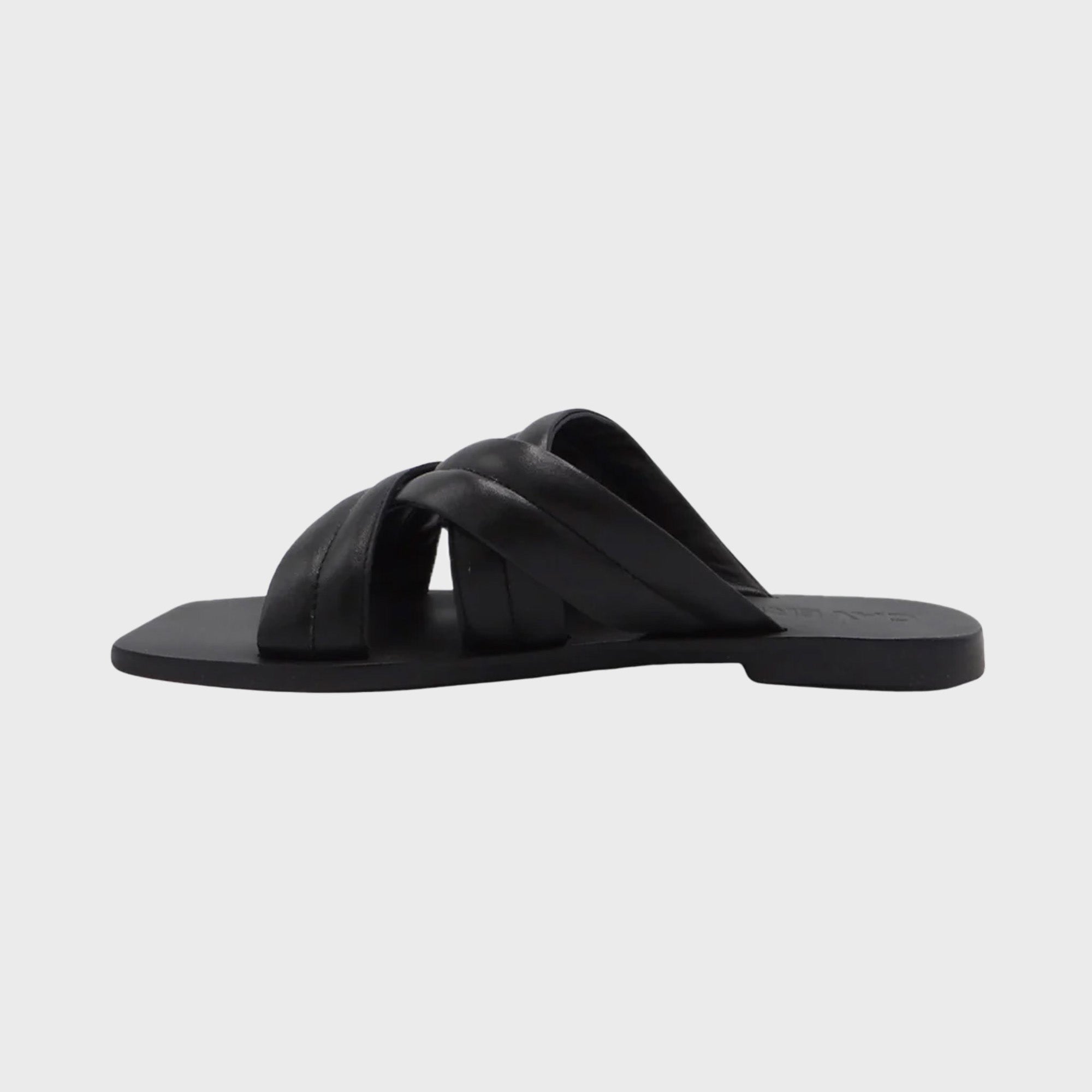 CAVERLEY Bennie Slide in Black 23S516C Black FROM EIGHTYWINGOLD - OFFICIAL BRAND PARTNER