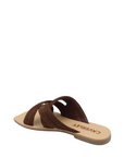 CAVERLEY Bennie Slide in Expresso Suede 23S516C Expresso Suede FROM EIGHTYWINGOLD - OFFICIAL BRAND PARTNER